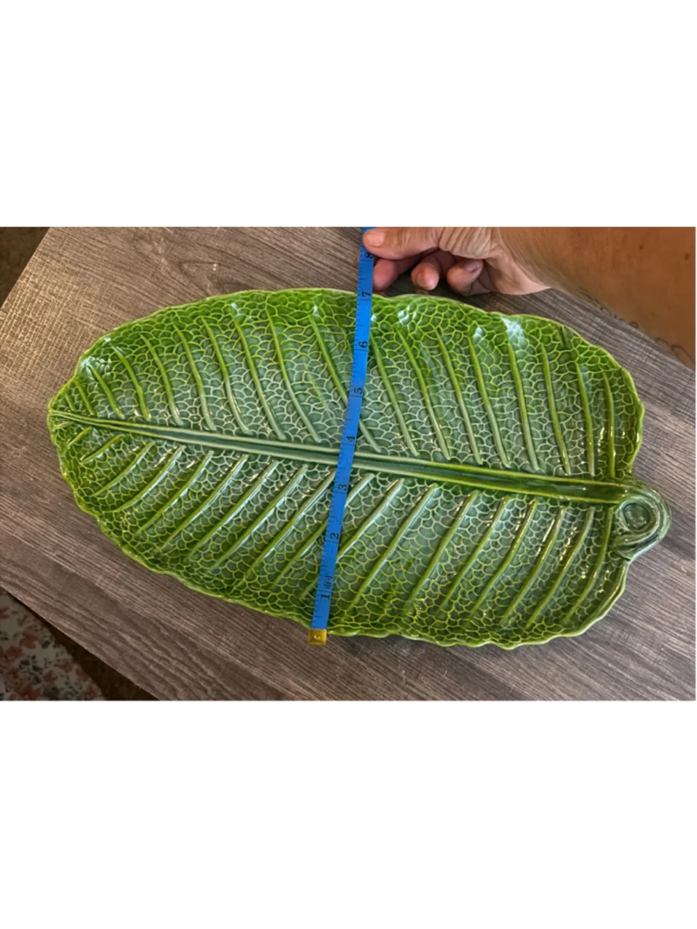 Palm & Fern Ceramic Leaf Shaped Serving Platter One Size Green
